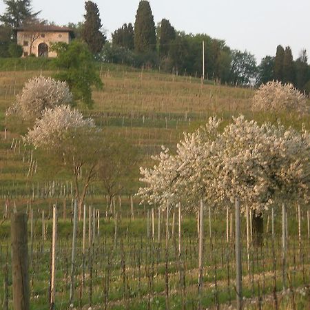 Agriturismo Giorgio Colutta Manzano المظهر الخارجي الصورة