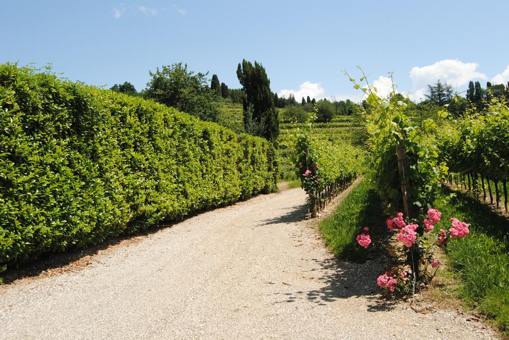 Agriturismo Giorgio Colutta Manzano المظهر الخارجي الصورة